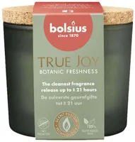 LÕHNAKÜÜNAL KLAASIS BOLSIUS TRUE JOY, BOTAANIKAAED 21H