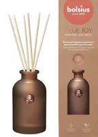 KODULÕHNASTAJA BOLSIUS TRUE JOY 80ML, IDAMAINE VÄRSKUS