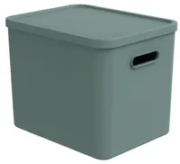 HOIUKAST KAANEGA ROTHO C4 ALBULA 27L, ROHELINE