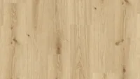VINÜÜLPARKETT TARKETT 5MM PRIMARY OAK LIGHT BROWN 1-LIPP 2,43M2/PK