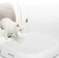 KASSILIIVA PÜÜDJA PETKIT