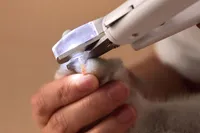 LEMMIKLOOMADE KÜÜNETANGID PETKIT LED-LAMBIGA VALGE