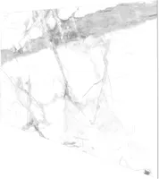 SEINAPANEEL VILO SPC CALACATTA SNOW 120X60CM 2,88M² PAKIS, MATT