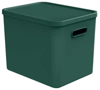 HOIUKAST KAANEGA ROTHO C4 ALBULA 27L, JÕULU ROHELINE