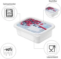 SÜGAVKÜLMAKARP ROTHO DOMINO 0,5L, 4TK PAKIS