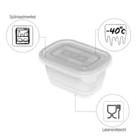 SÜGAVKÜLMAKARP ROTHO FREEZE 0,25L, 6TK PAKIS