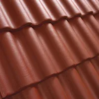 REAKIVI BENDERS PALEMA KAHELAINELINE PUNANE