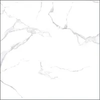 PÕRANDAPLAAT NETTO WHITE MARBLE MATT 60X60CM, 1,44M² PAKIS