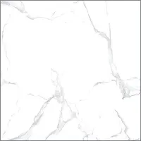 PÕRANDAPLAAT NETTO WHITE MARBLE MATT 60X60CM, 1,44M² PAKIS