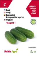 LÜHIKE KURK BALTIC AGRO "DIRIGENT" F1, 10 SEEMET