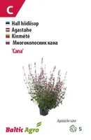HIIDIISOP BALTIC AGRO "CANA"