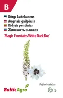 KUKEKANNUS BALTIC AGRO "MF WHITE DARK BEE"