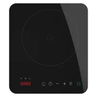 INDUKTSIOON LAUAPLIIT CECOTEC FULL MAGMA SINGLE