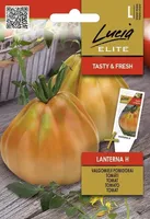 TOMAT SEKLOS LANTERNA H, PAKIS 10 SEEMET