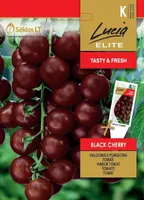 HARILIK TOMAT SEKLOS BLACK CHERRY 0,2G