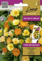 SAIALILL SEKLOS CITRUS MIXTURE DAISY 0,5G