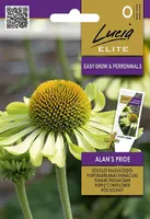 PÄEVAKÜBAR SEKLOS ALAN'S PRIDE, PAKIS 15 SEEMET