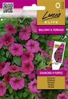 PETUUNIA (SURFIINIA) SEKLOS DIAMOND H PURPLE, PAKIS 7 SEEMET
