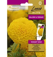 PEIULILL KÕRGE SEKLOS TAISHAN GOLD, PAKIS 20 SEEMET