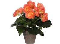 KUNSTLILL MICA DECORATIONS BEGOONIA POTIS Ø9CM