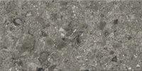 SEINAPLAAT OPOCZNO TERRAZZO STONE GREY MATT29,8X59,8CM 1,6M² PAKIS