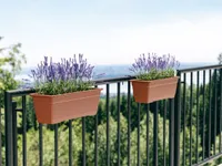 RÕDUKAST TERA BIRKA 60CM PRUUN