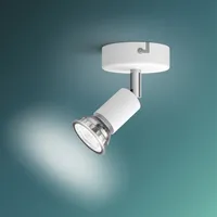 KOHTVALGUSTI LIMBALI 1X50W 230V VALGE