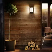 VÄLISVALGUSTI REESE UE 4.3W 2700K ANTRATSIIT