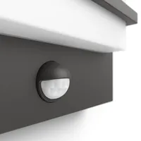 VÄLISVALGUSTI PETRONIA 1X12W IR ANTRATSIIT