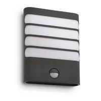 VÄLISVALGUSTI RACCOON 1X3W IR ANTRATSIIT