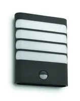 VÄLISVALGUSTI RACCOON 1X3W IR ANTRATSIIT