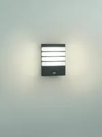 VÄLISVALGUSTI RACCOON 1X3W IR ANTRATSIIT