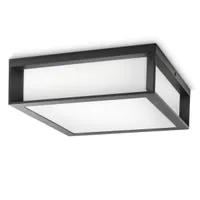 VÄLISVALGUSTI SKIES 2X14W 230V ANTRATSIIT