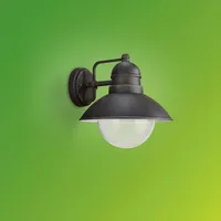 VÄLISVALGUSTI DAMASCUS 1X60W 230V ROOSTEPUNANE