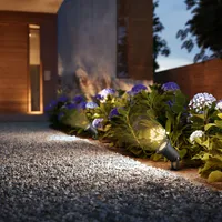 AIAVALGUSTI PULED 1X4.6W 230V MUST