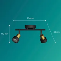 KOHTVALGUSTI CONDUIT SPOT 2X35W MUST-MESSING