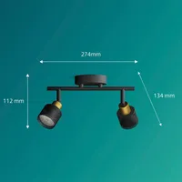 KOHTVALGUSTI NIALL SPOT 2X35W MUST-MESSING