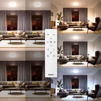 LAEVALGUSTI AIO 24W 2700-6500K IP20 RC VALGE