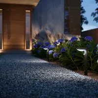 AIAVALGUSTI TYLA 1X1.2W 3000K SR IR ANTRATSIIT