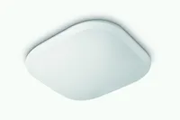 LAEVALGUSTI CAVANAL 2700K 1X18W RUUT VALGE