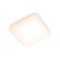 LAEVALGUSTI MAUVE CL270 EC 24W 2700K RUUT VALGE