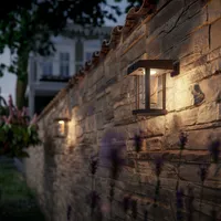 VÄLISVALGUSTI CAMILL SR 1.4W 3000K CL IR MUST