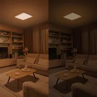 LAEVALGUSTI VALEN CL650 13W 22-27-40-6500K RUUT VALGE