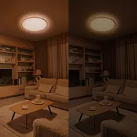 PLAFOON VALEN CL650 22W 2200-6500K VALGE