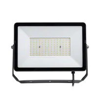 LED PROŽEKTOR PROJECTLINE 50W 4000K
