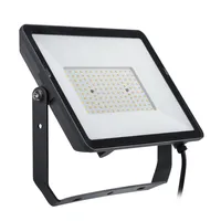 LED PROŽEKTOR PROJECTLINE 100W 4000K