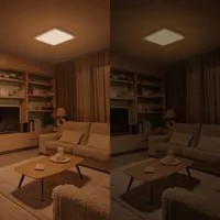 PLAFOON VALEN CL650 17W 22-27-40-6500K RUUT VALGE