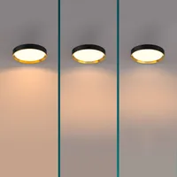 PLAFOON HANNO SS 24W 2700K KULDNE-MUST