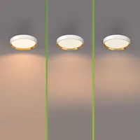 PLAFOON HANNO SS 24W 2700K KULDNE-VALGE