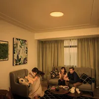 PLAFOON IZSO CL620 40W 2700-4000-6500K RC VALGE